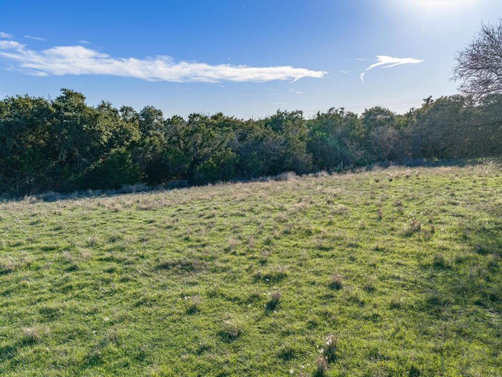 8524 Crichton Court Property Photo 4