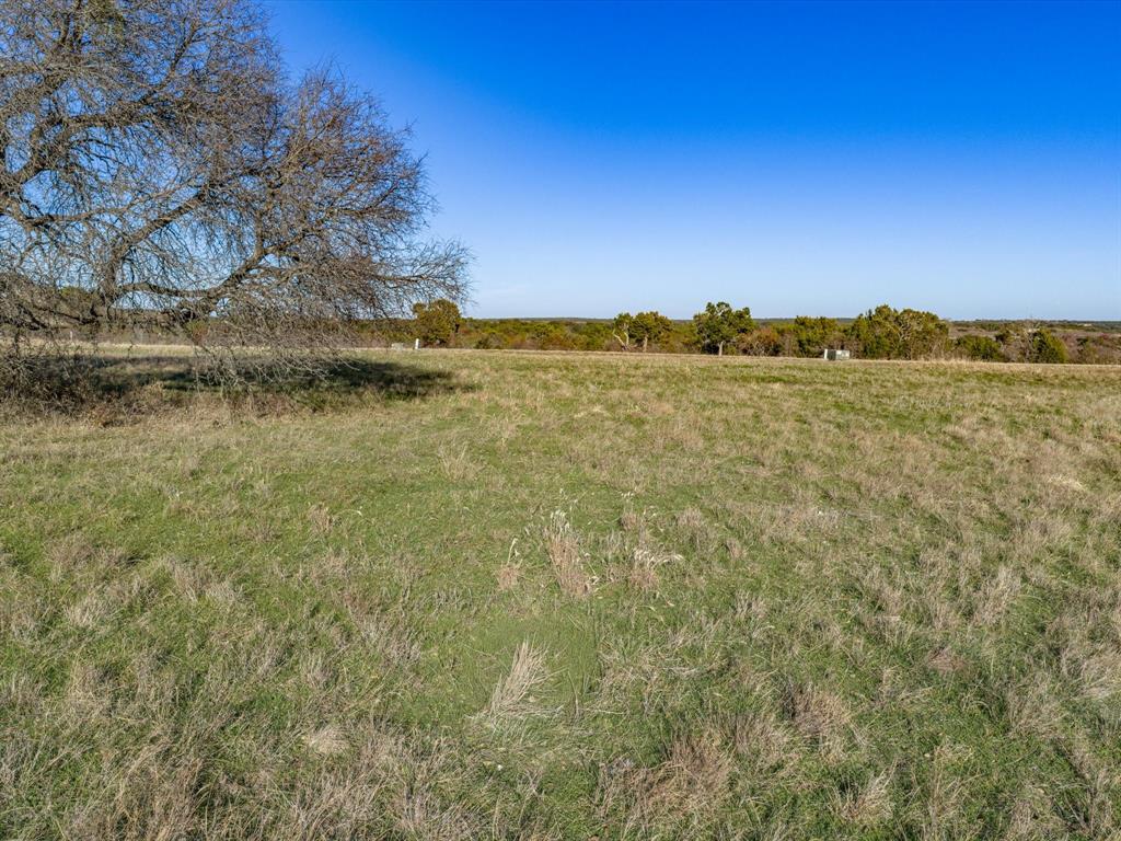 8524 Crichton Court Property Photo 5
