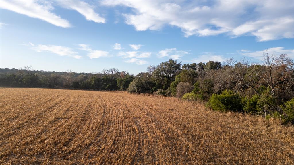 12615 Us Highway 190 Property Photo 13