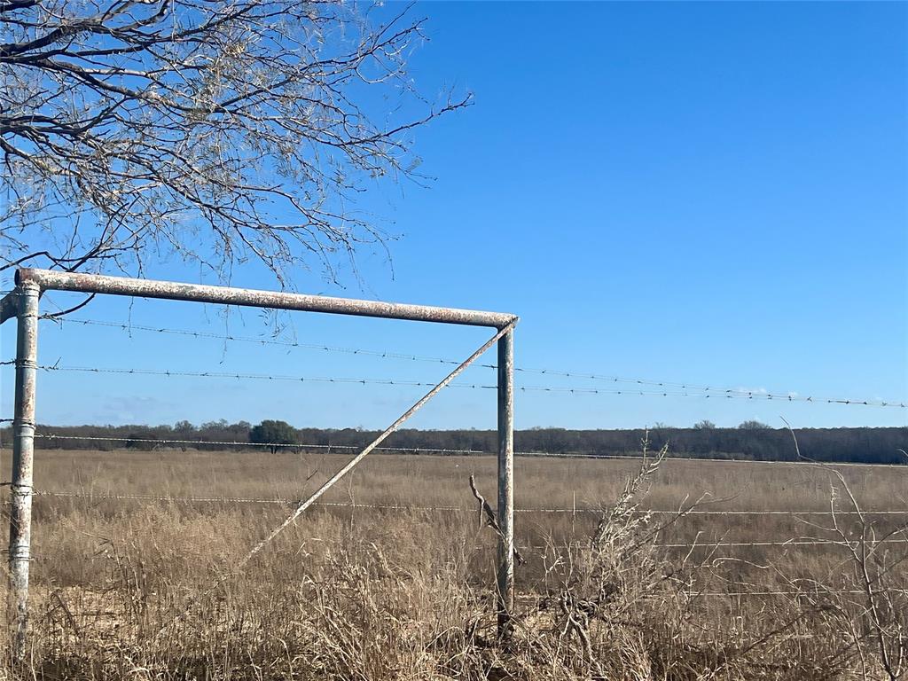 Tbd 3864 County Road 120 Property Photo 11