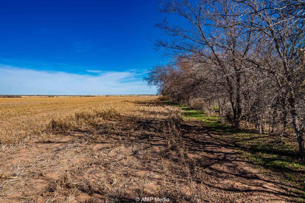 Cr 110 Property Photo 6