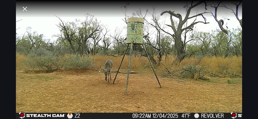 Cr 110 Property Photo 28