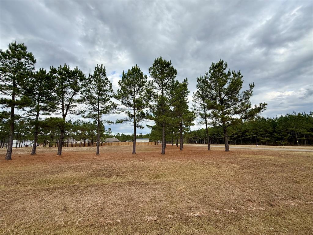 201 Chapel Creek