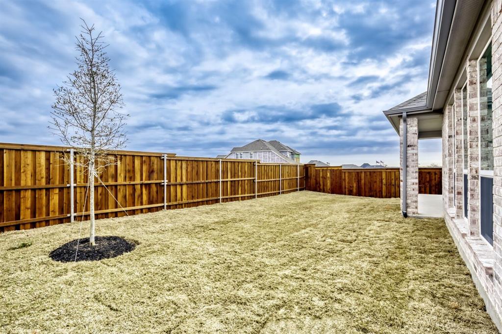 2222 Prickly Cactus Drive Property Photo 29