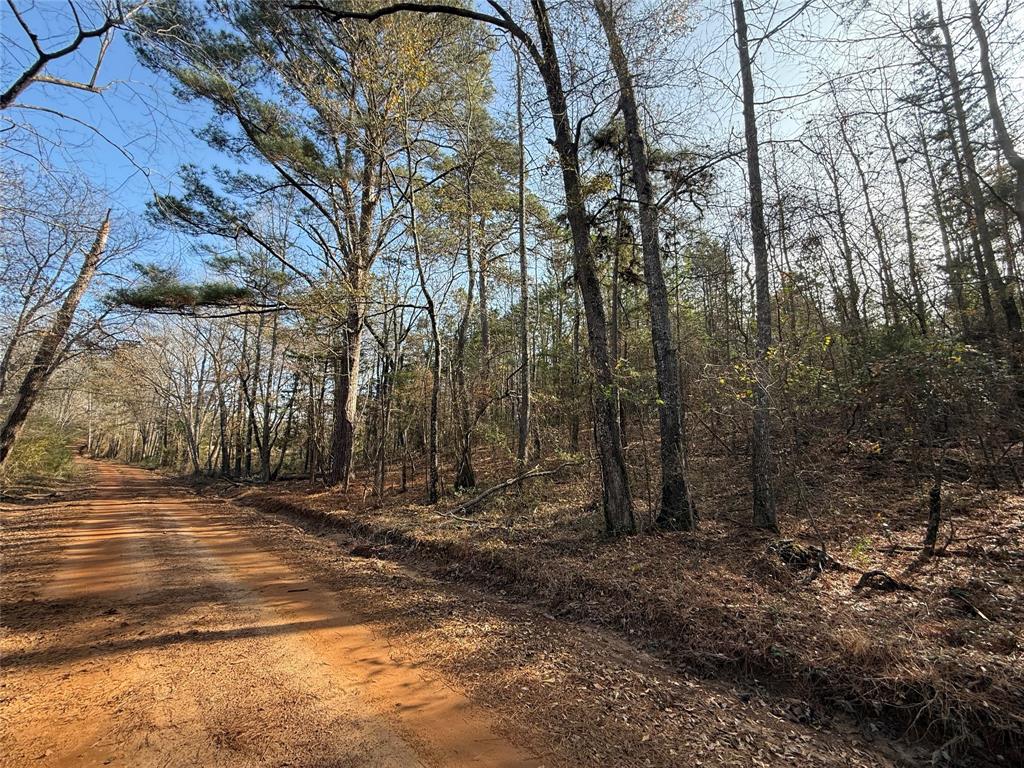 Tbd Cr 2733 Property Photo 1
