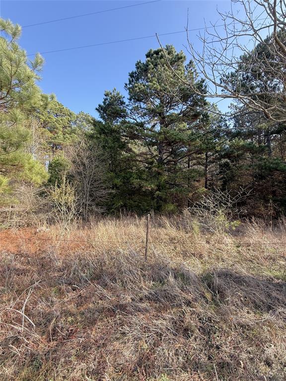Tbd Fm 2888 Property Photo 3