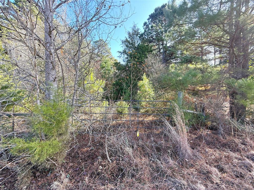 Tbd Fm 2888 Property Photo 4