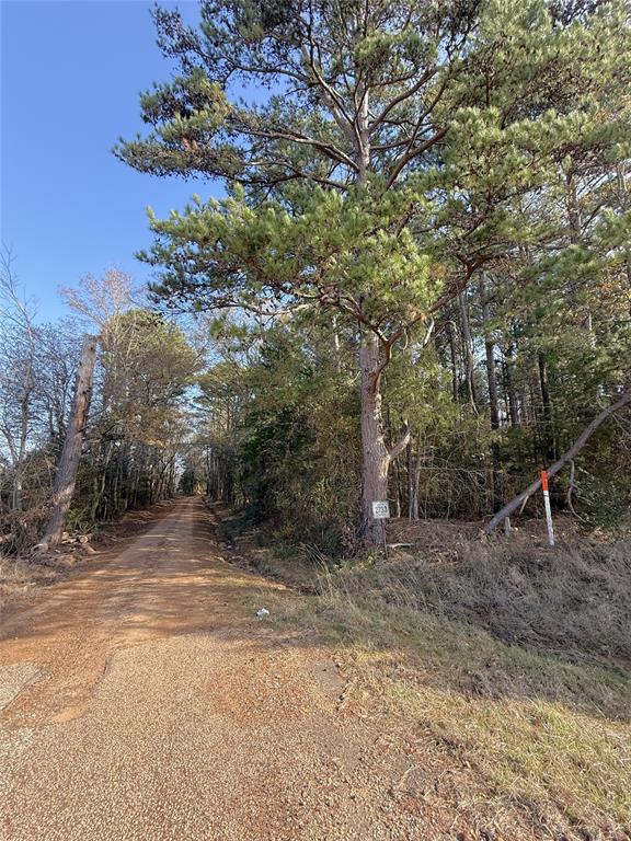 Tbd Fm 2888 Property Photo 5