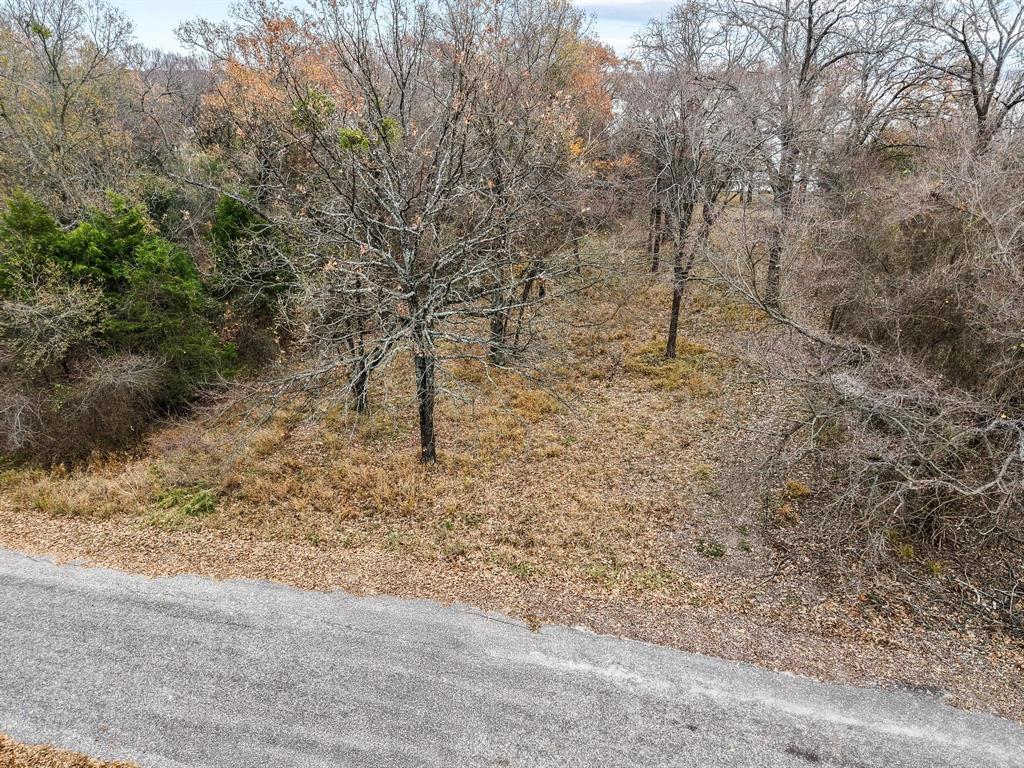 Lot 15 Rs County Road 3400 Property Photo 7