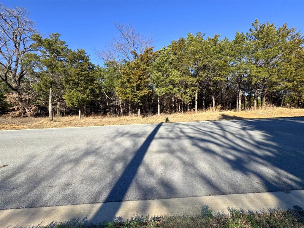 202 Pine Hills Lane Property Photo 1