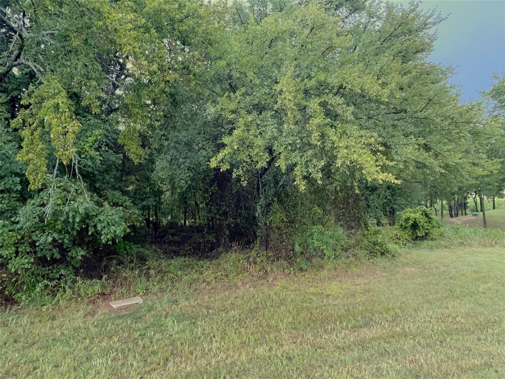 Lot 13c Coyote Creek Drive Property Photo 2