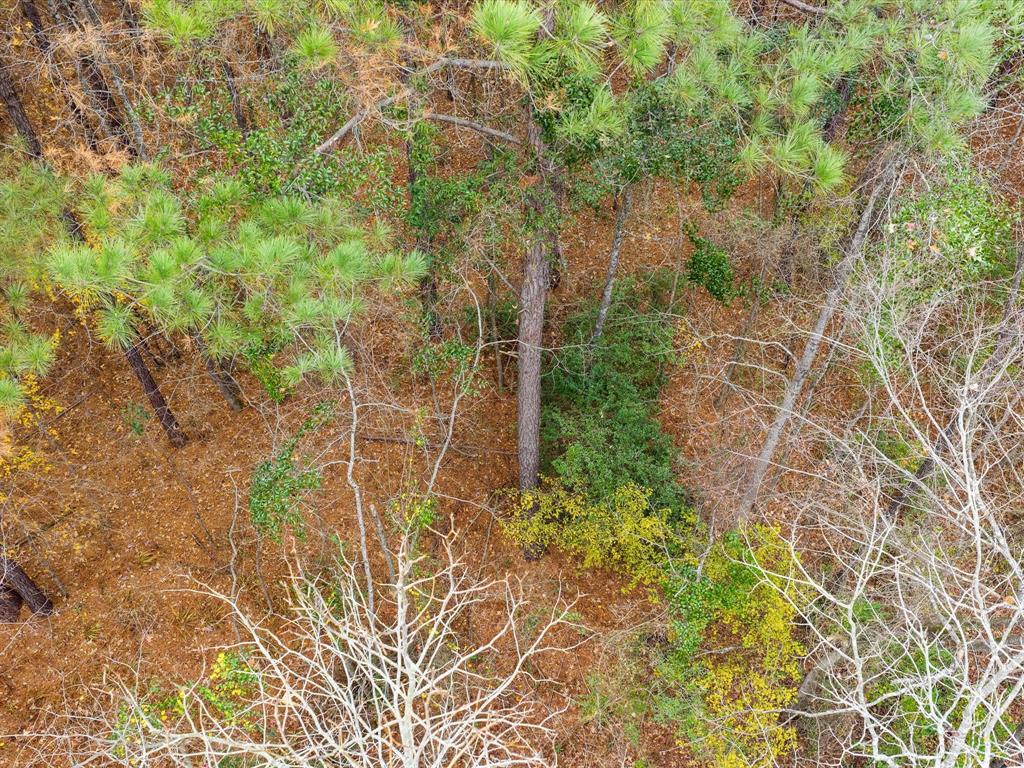 0 Ward Property Photo 5
