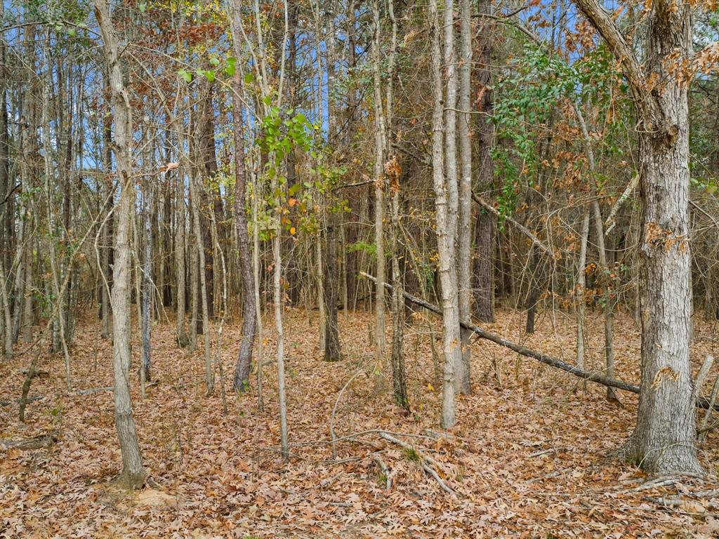 0 Ward Property Photo 6
