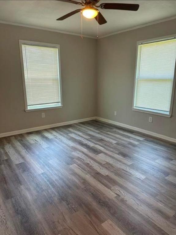 6007 Colorado Street Property Photo 3