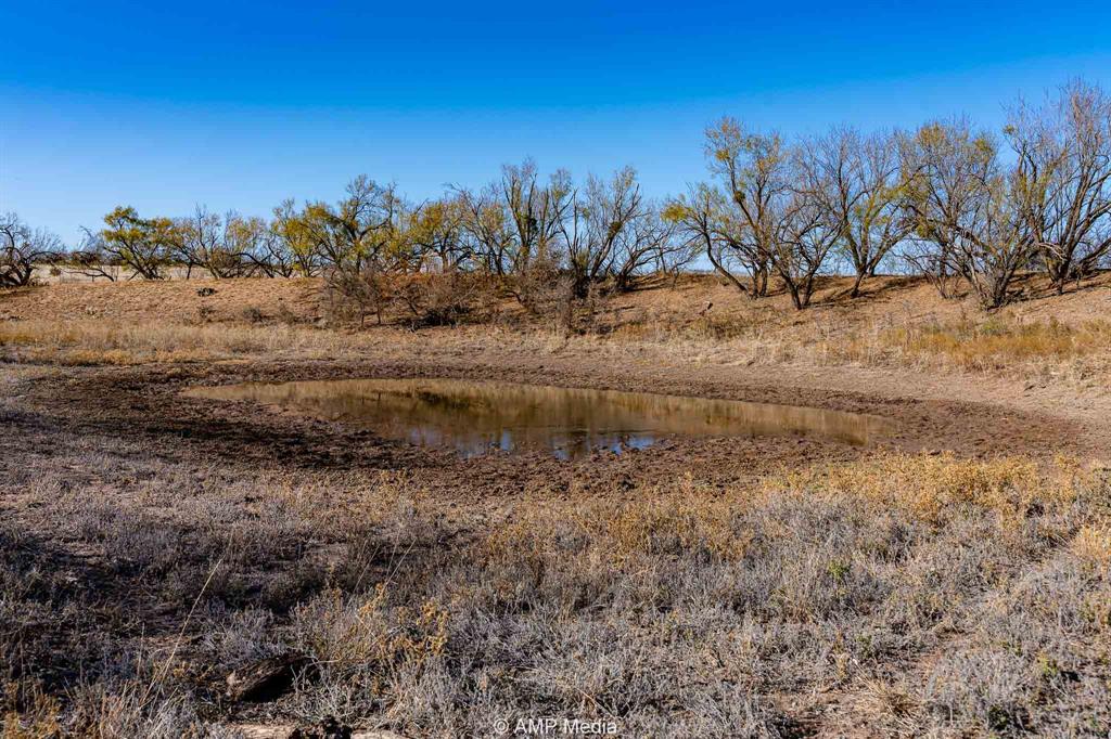 Cr 450 Property Photo 14