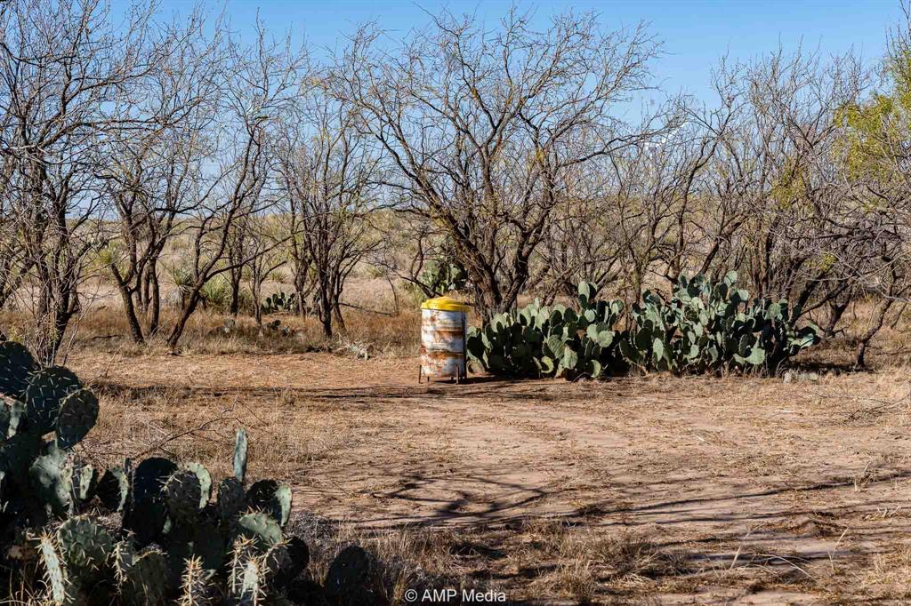 Cr 450 Property Photo 25