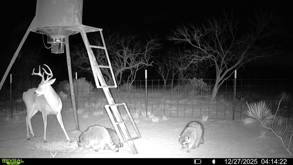 Cr 450 Property Photo 32