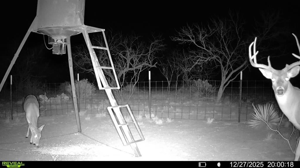 Cr 450 Property Photo 33