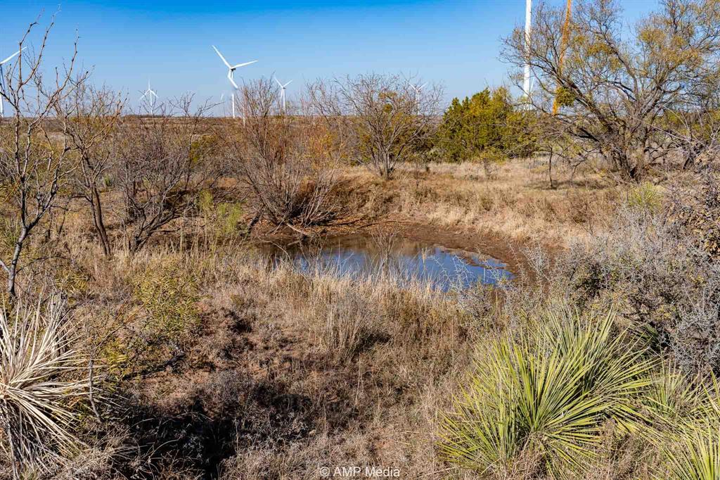 Cr 450 Property Photo 34