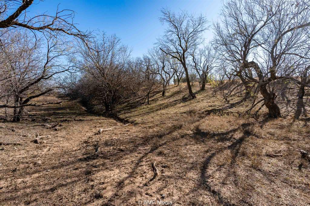 Cr 450 Property Photo 40