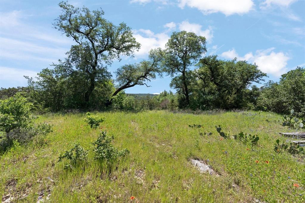 8416 Darley Court Property Photo 4