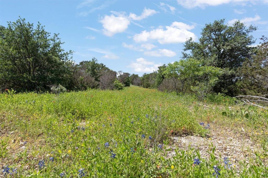 8416 Darley Court Property Photo 6