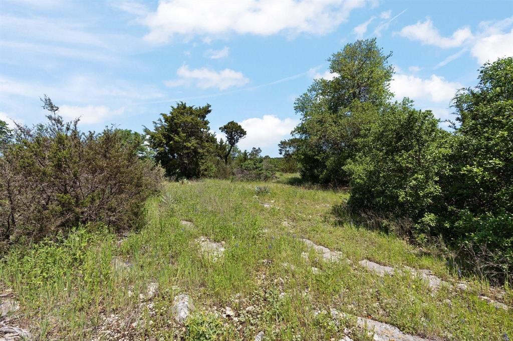 8416 Darley Court Property Photo 9
