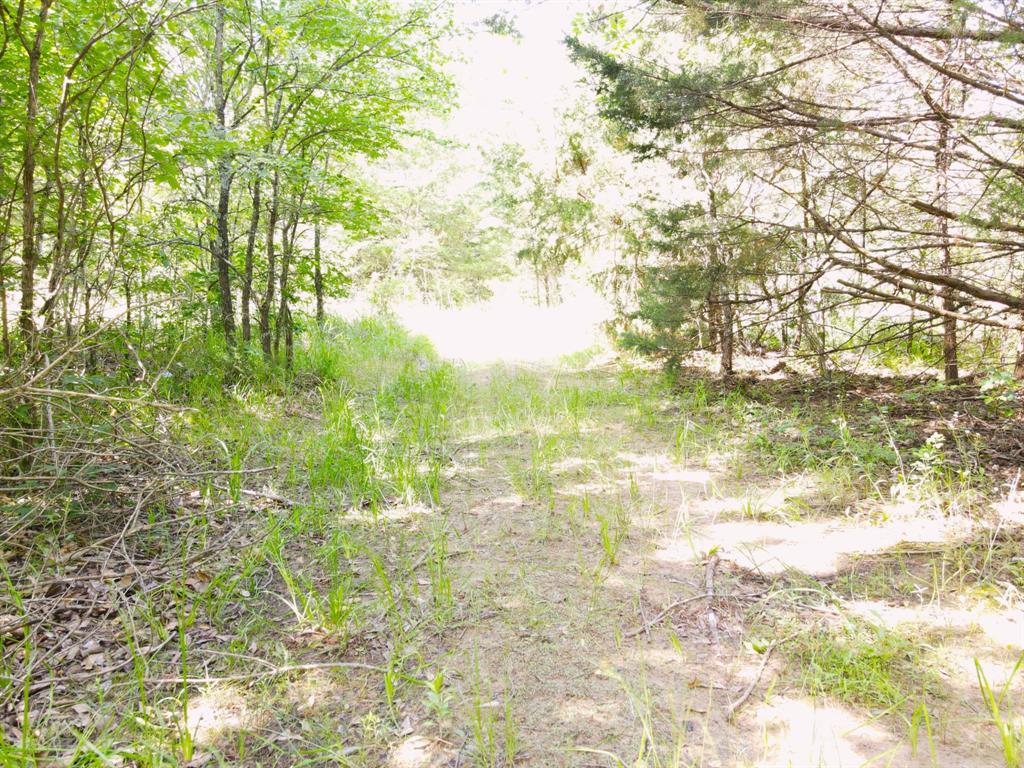 12975 Cr-316 Property Photo 3