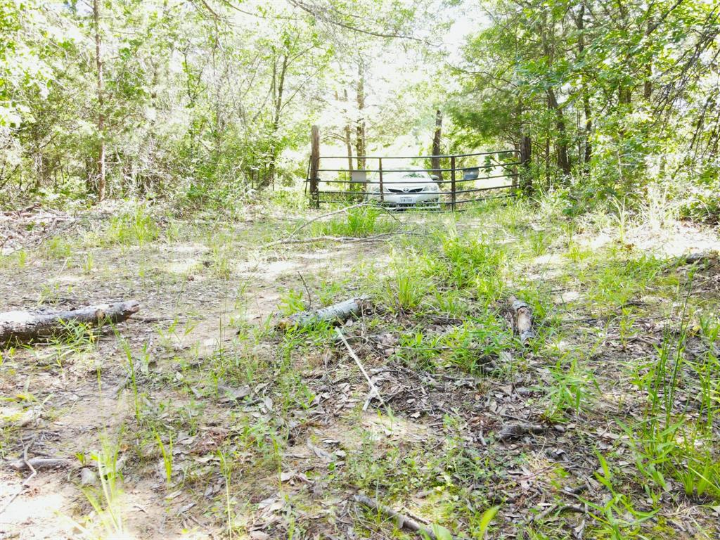 12975 Cr-316 Property Photo 4