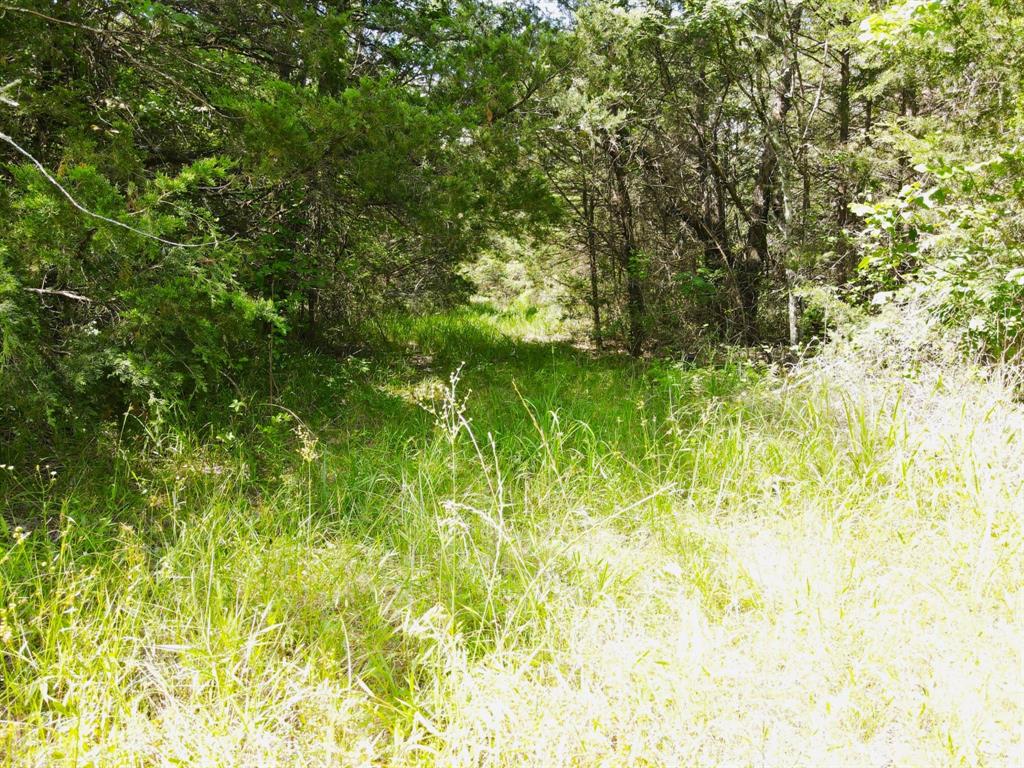 12975 Cr-316 Property Photo 5