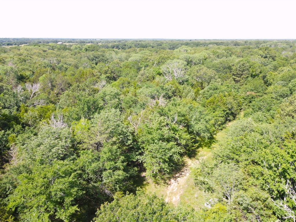 12975 Cr-316 Property Photo 6