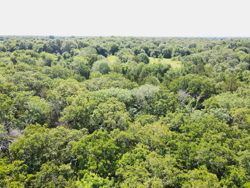 12975 Cr-316 Property Photo 7