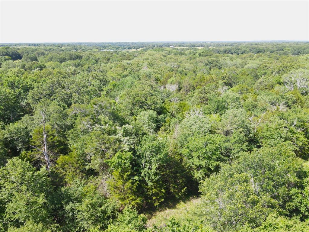 12975 Cr-316 Property Photo 9