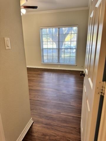 4347 Bellaire Drive 132s Property Photo 13
