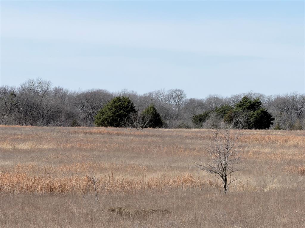 Tbd Ne County Road 2140 Property Photo 3