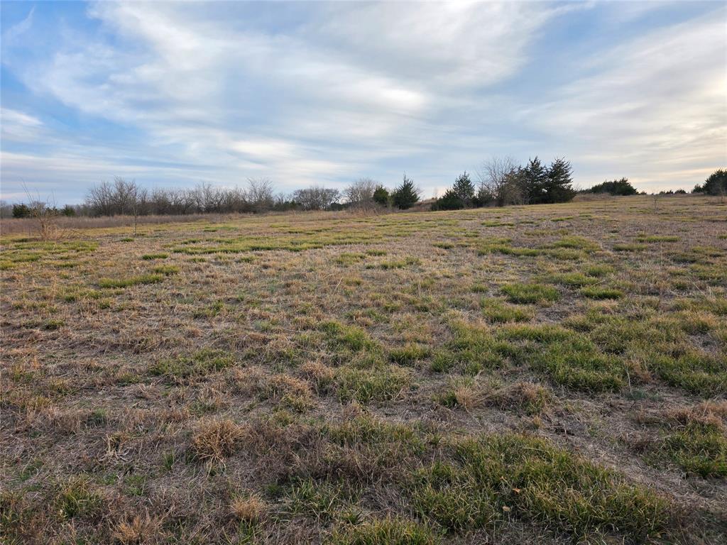 Lot 26 County Road 26050 Property Photo 2