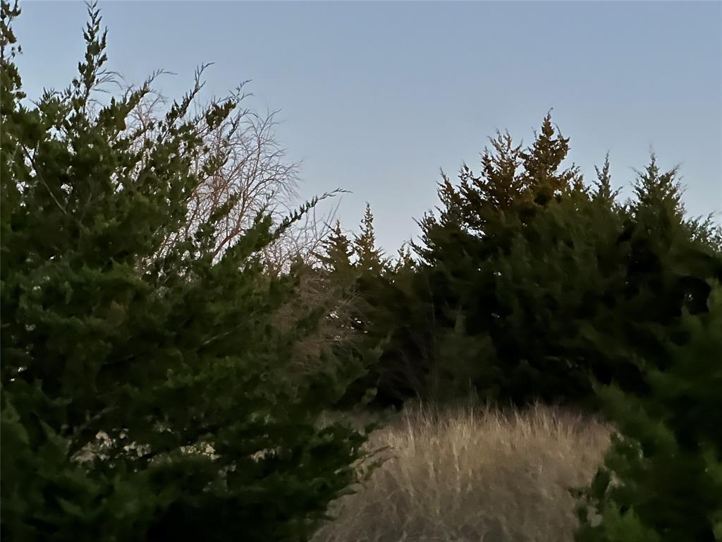 Lot 26 County Road 26050 Property Photo 8