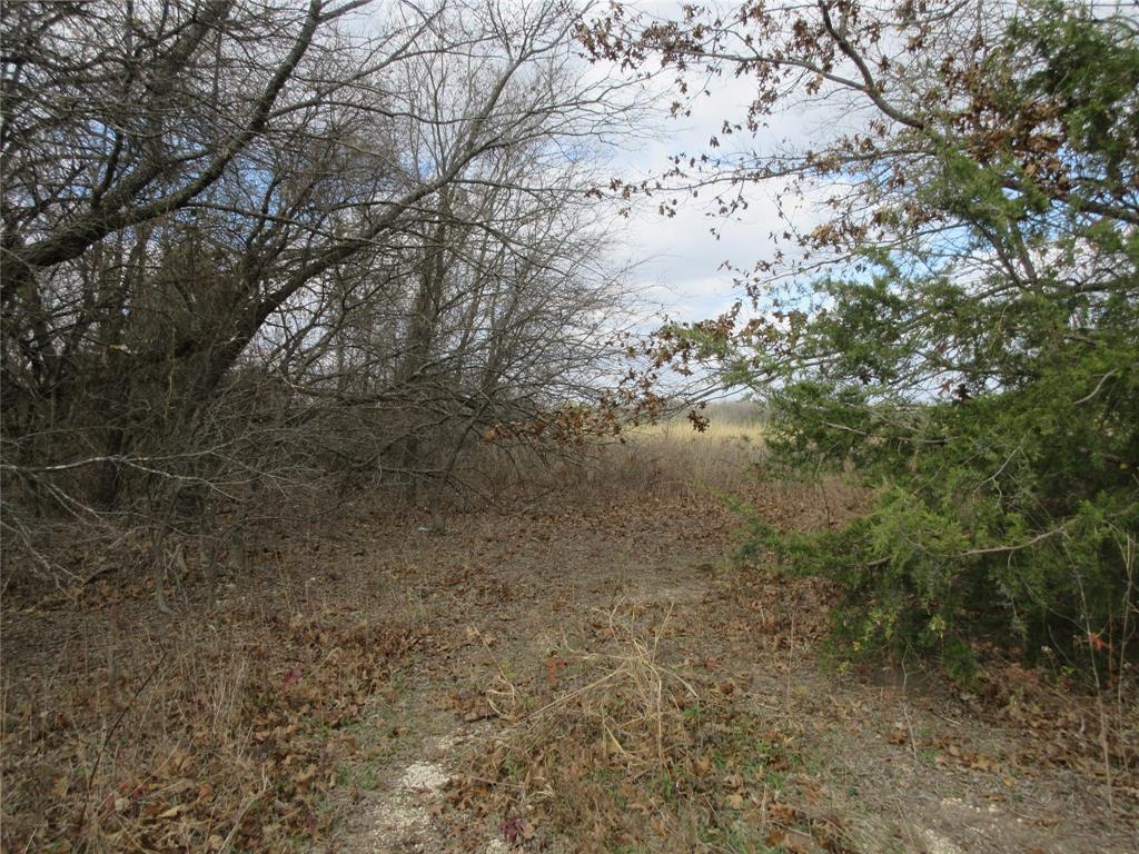 Tbd County Road 3040 Property Photo 1