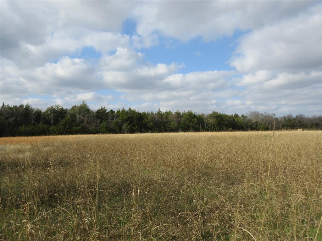 Tbd County Road 3040 Property Photo 6