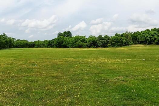 Tbd County 3848 Road Property Photo 3