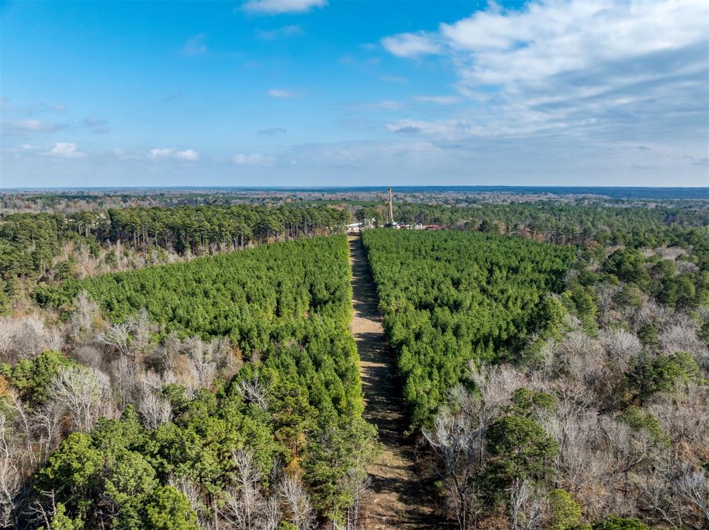 Tbd Tom Woodley Rd Property Photo 4