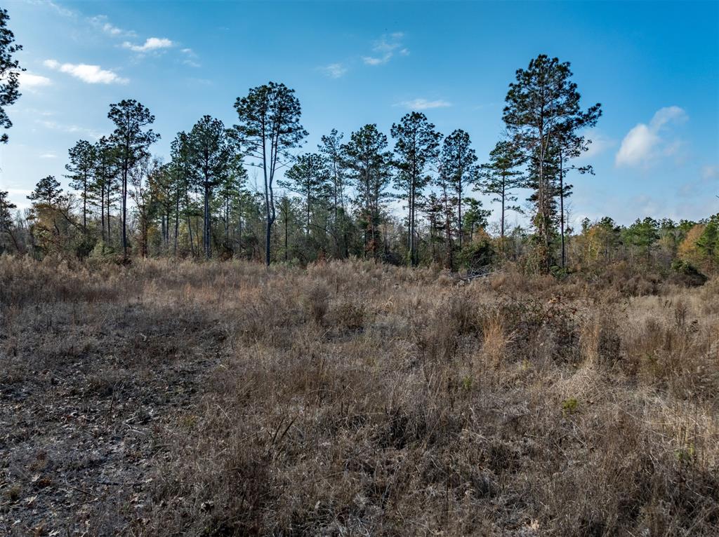 Tbd Tom Woodley Rd Property Photo 10