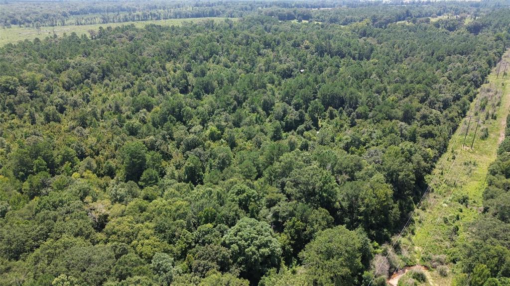 Tbd County Road 2920 Property Photo 1
