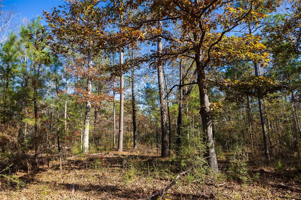 00 County Road 1135 Property Photo 8