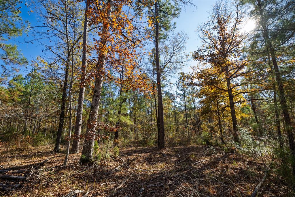 00 County Road 1135 Property Photo 12