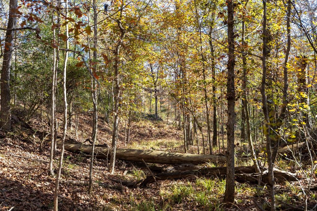 00 County Road 1135 Property Photo 13