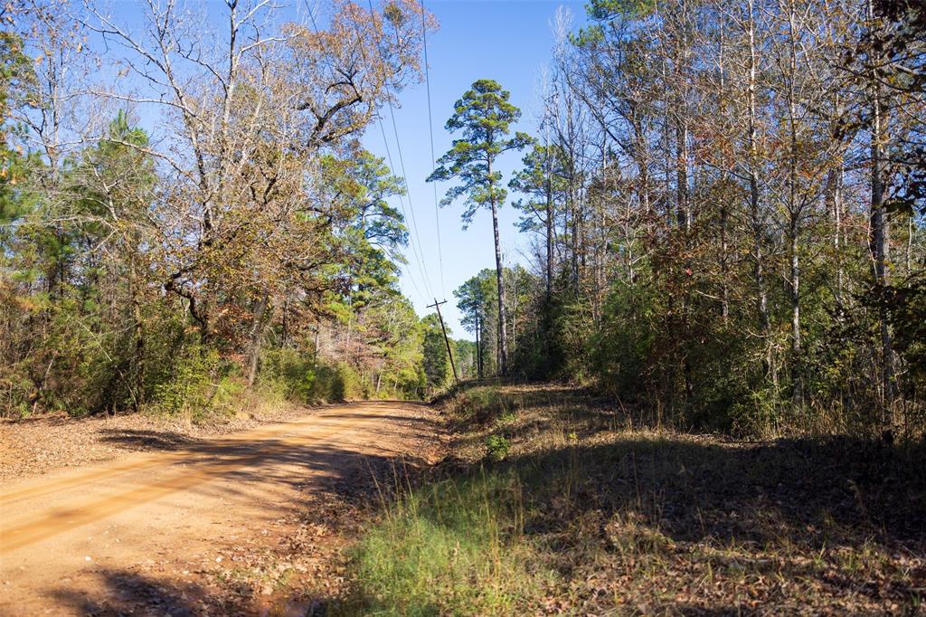 00 County Road 1135 Property Photo 16