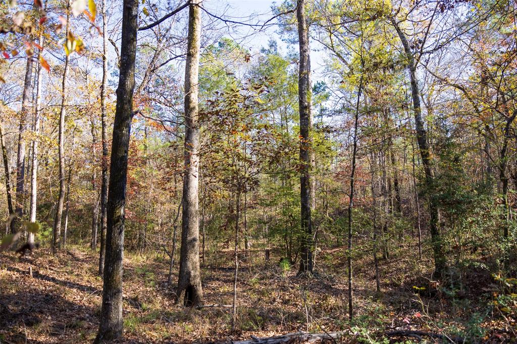 00 County Road 1135 Property Photo 17