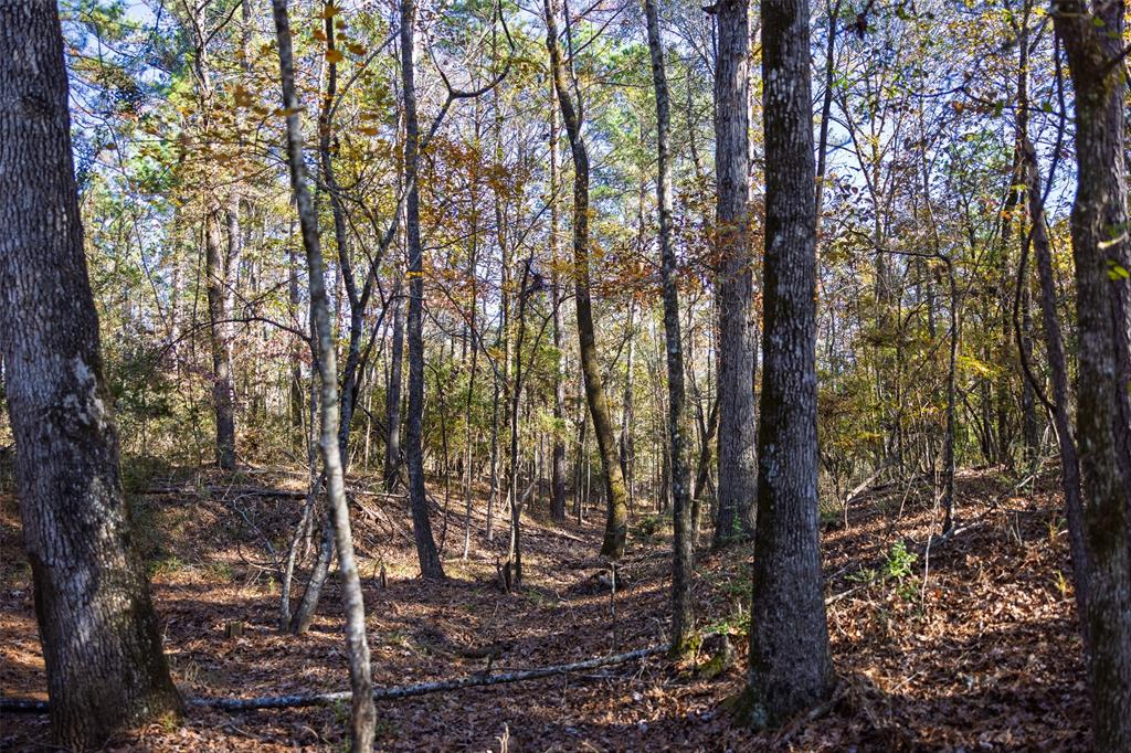 00 County Road 1135 Property Photo 18