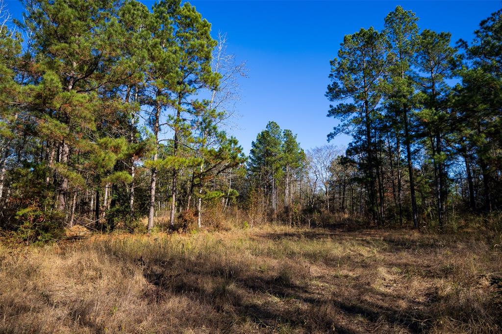00 County Road 1135 Property Photo 19